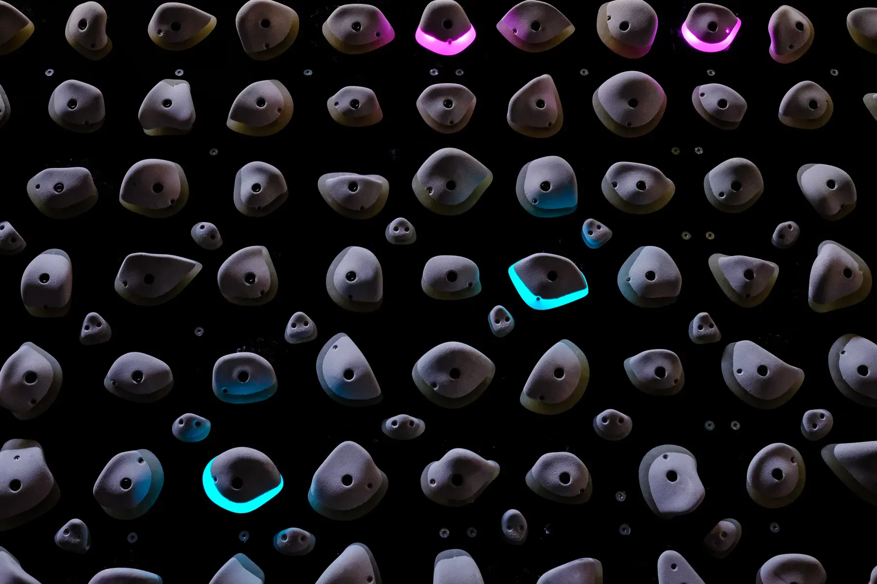 Moon Board de Rock & Wall